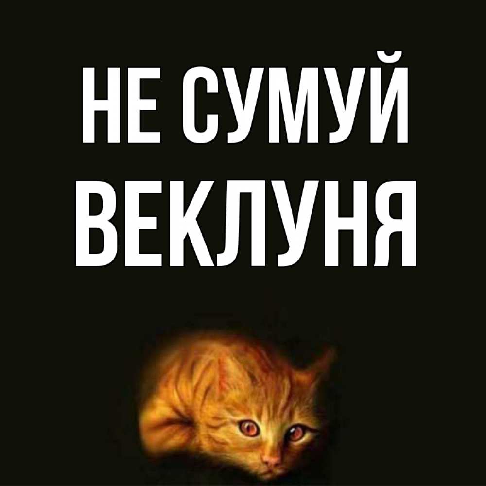 Открытка на каждый день з підписом, Веклуня Не сумуй лежащий кот в темноте Прикольна листівка з побажанням онлайн скачати безкоштовно 