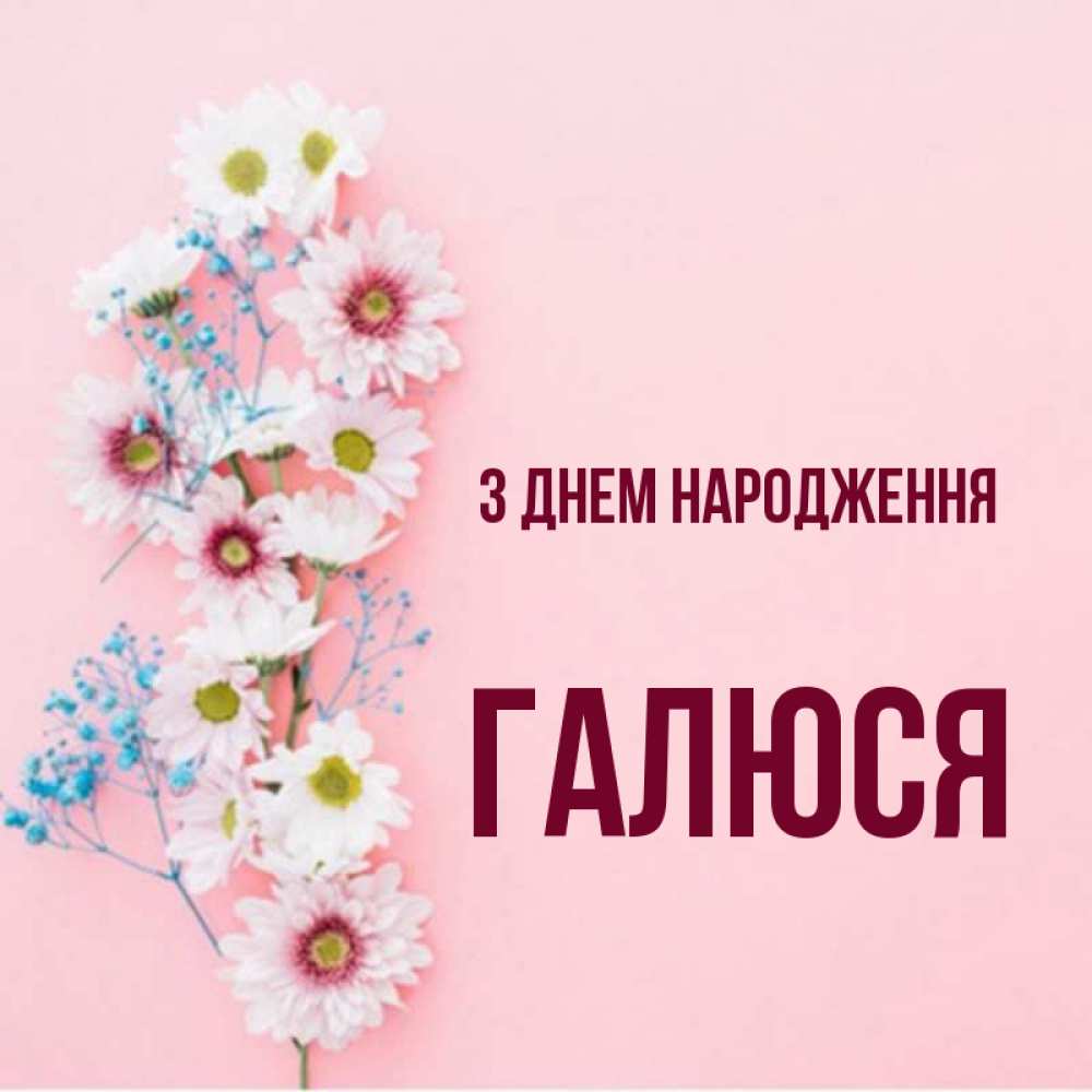 Открытка на каждый день з підписом, Галюся З Днем народження Родная моя с днем рождения тебя картинка с цветами белыми и голубыми Прикольна листівка з побажанням онлайн скачати безкоштовно 