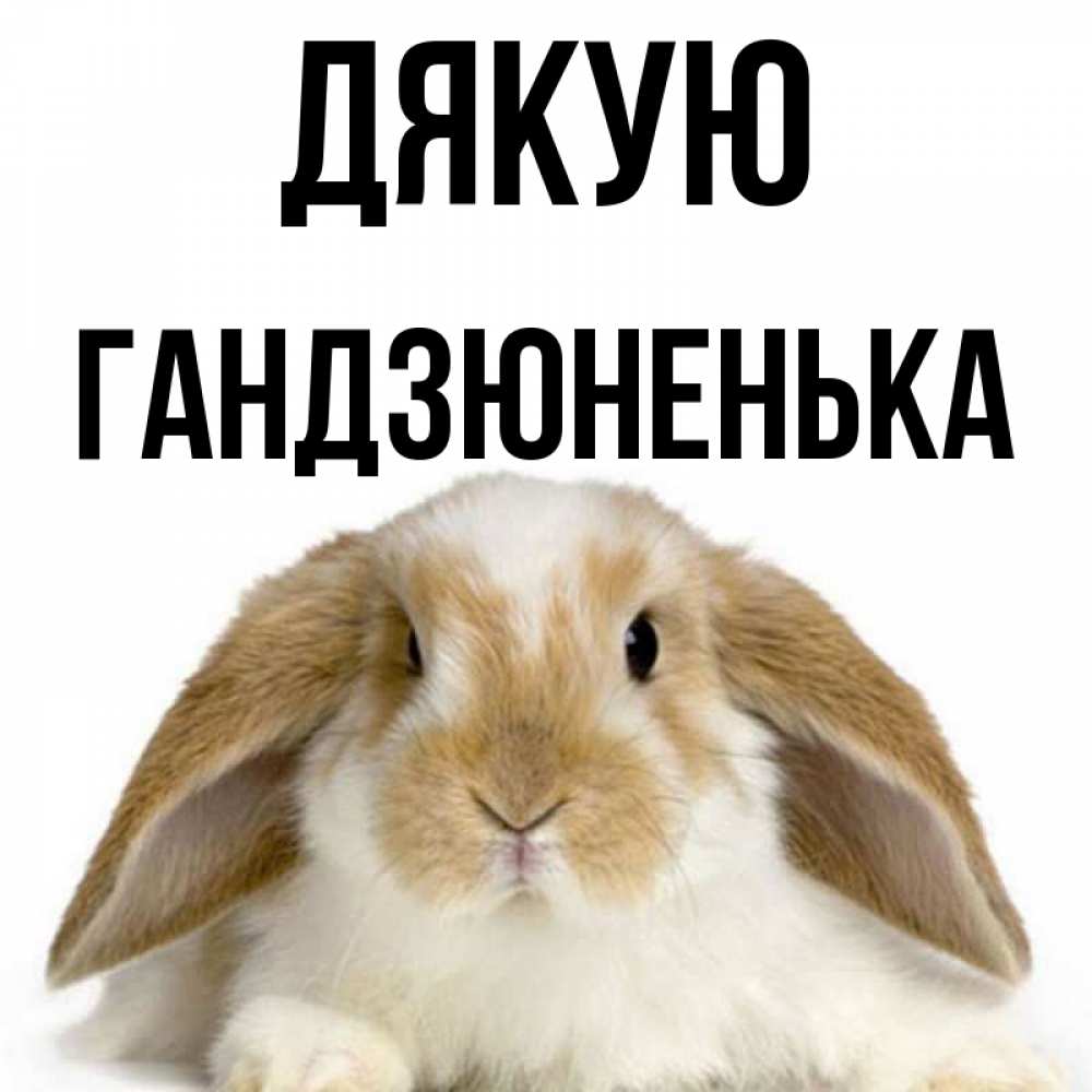 Открытка на каждый день з підписом, Гандзюненька Дякую коричнево белый заяц Прикольна листівка з побажанням онлайн скачати безкоштовно 