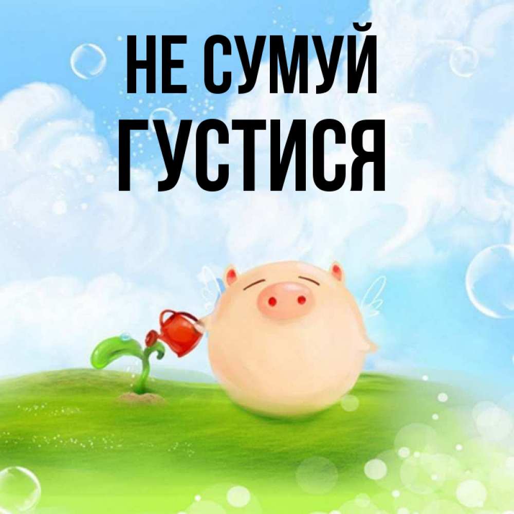Открытка на каждый день з підписом, Густися Не сумуй поливает цветок порося Прикольна листівка з побажанням онлайн скачати безкоштовно 