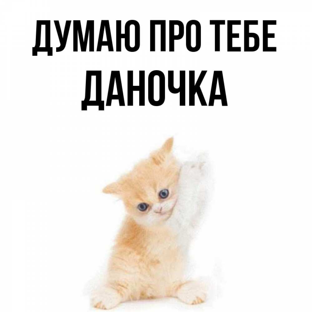Открытка на каждый день з підписом, Даночка Думаю про тебе зверушки и милота Прикольна листівка з побажанням онлайн скачати безкоштовно 