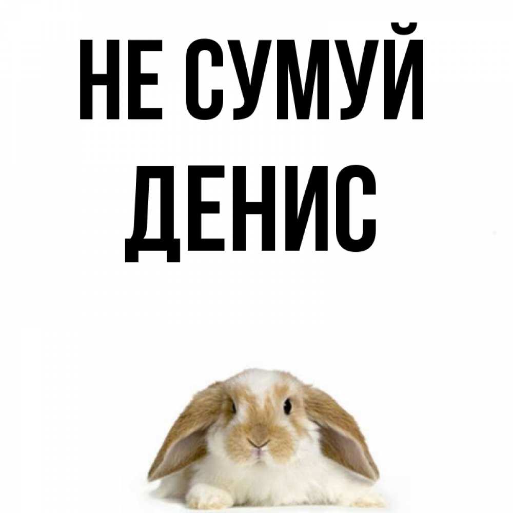 Открытка на каждый день з підписом, Денис Не сумуй коричнево белый заяц с большими ушками Прикольна листівка з побажанням онлайн скачати безкоштовно 