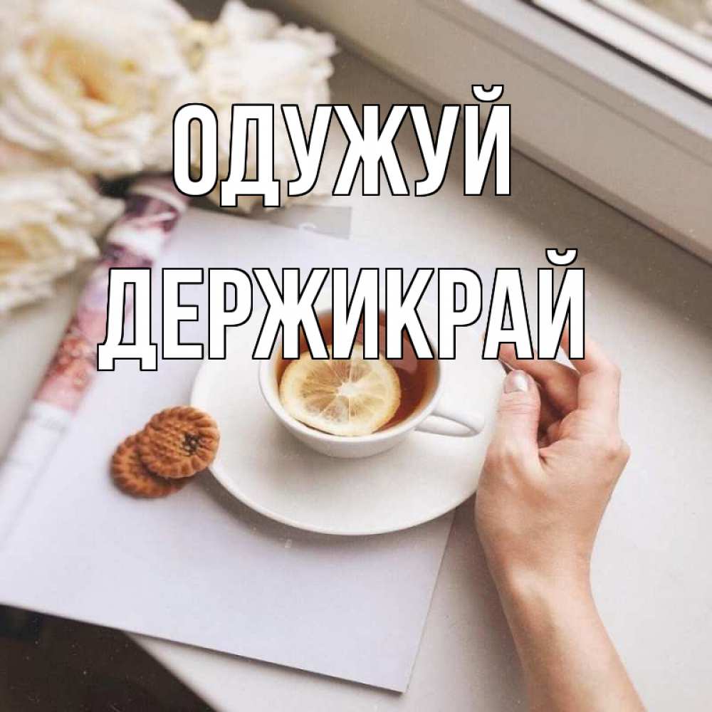 Открытка на каждый день з підписом, Держикрай Одужуй и печеньками Прикольна листівка з побажанням онлайн скачати безкоштовно 