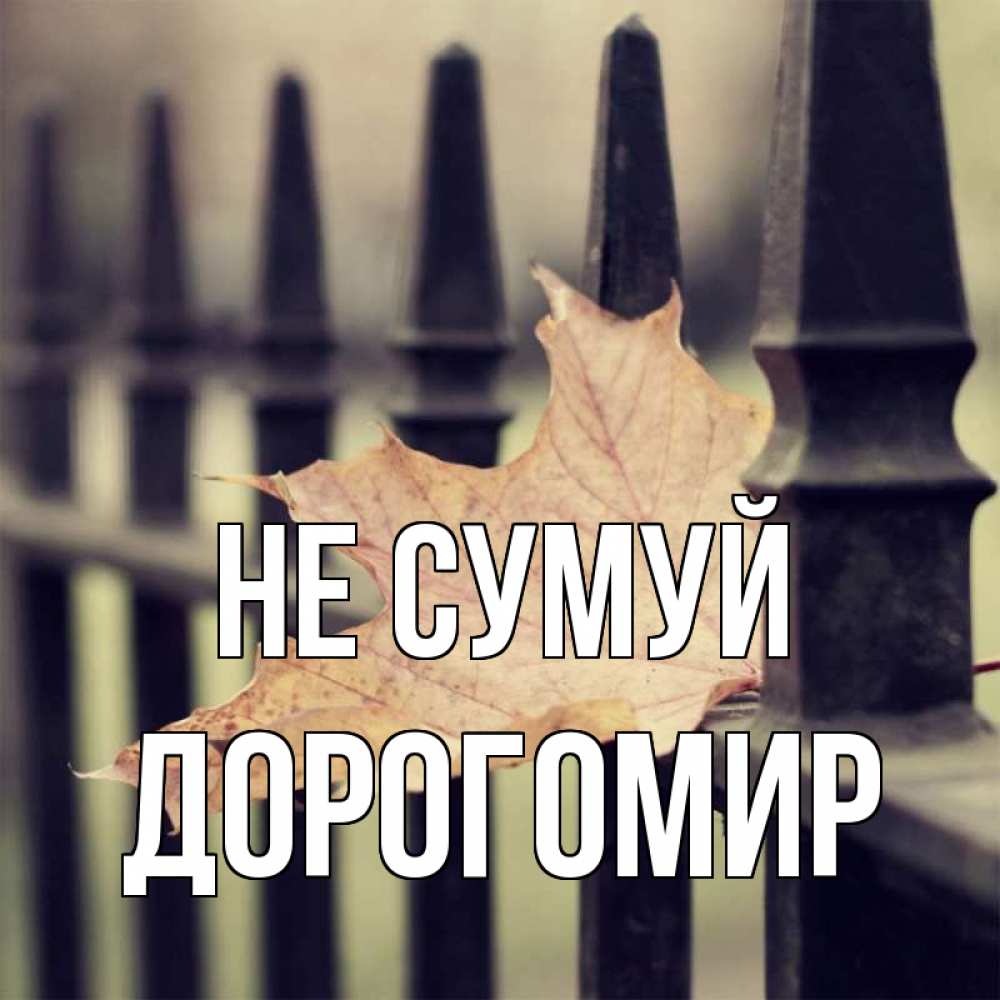 Открытка на каждый день з підписом, Дорогомир Не сумуй лист клена Прикольна листівка з побажанням онлайн скачати безкоштовно 