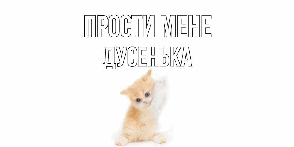 Открытка на каждый день з підписом, Дусенька Прости мене кот Прикольна листівка з побажанням онлайн скачати безкоштовно 