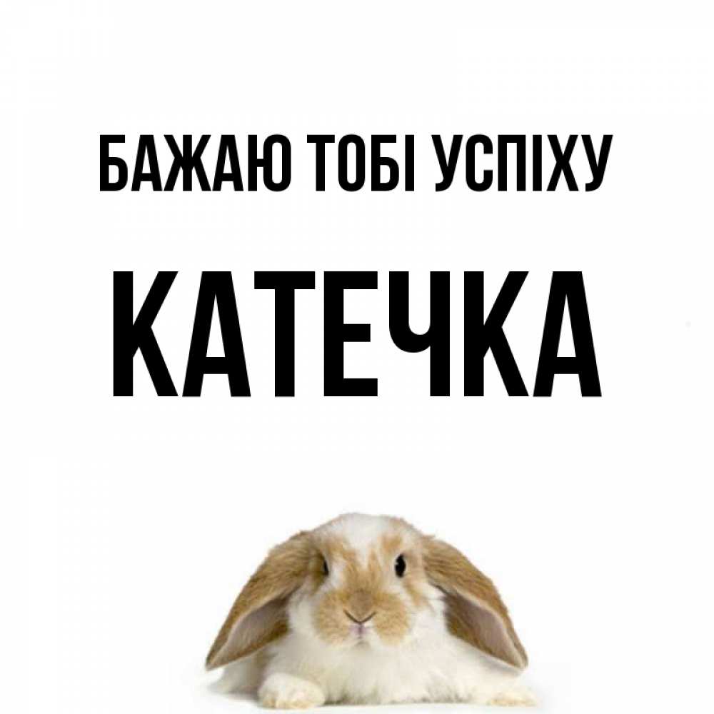 Открытка на каждый день з підписом, Катечка Бажаю тобі успіху открытки с произвольным текстом который можно вставить в открытку и создать ее самостоятельно бесплатно онлайн Прикольна листівка з побажанням онлайн скачати безкоштовно 