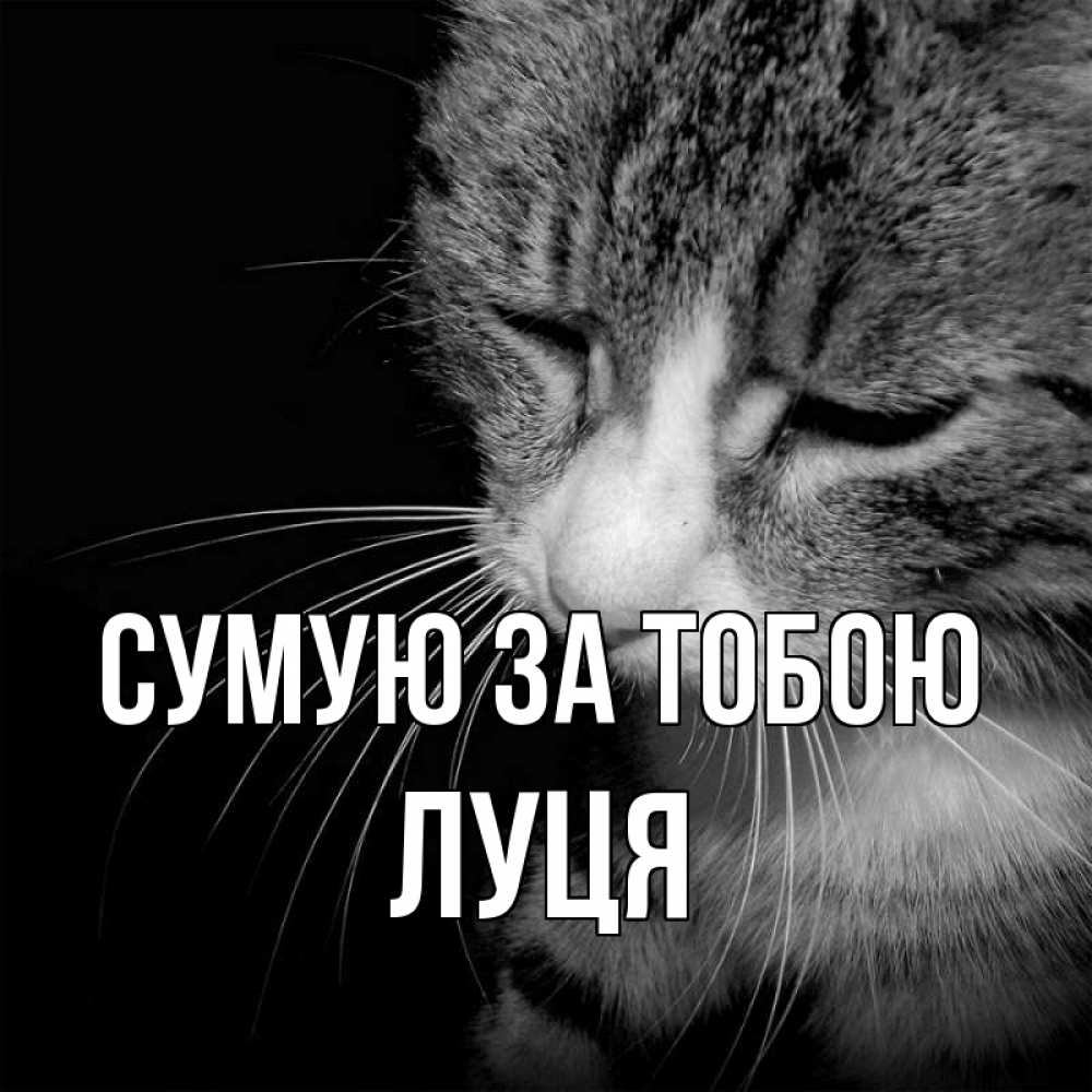 Открытка на каждый день з підписом, Луця Сумую за тобою мне скучно Прикольна листівка з побажанням онлайн скачати безкоштовно 