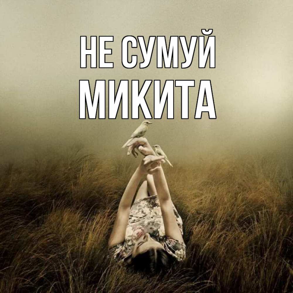 Открытка на каждый день з підписом, Микита Не сумуй поле и туман Прикольна листівка з побажанням онлайн скачати безкоштовно 