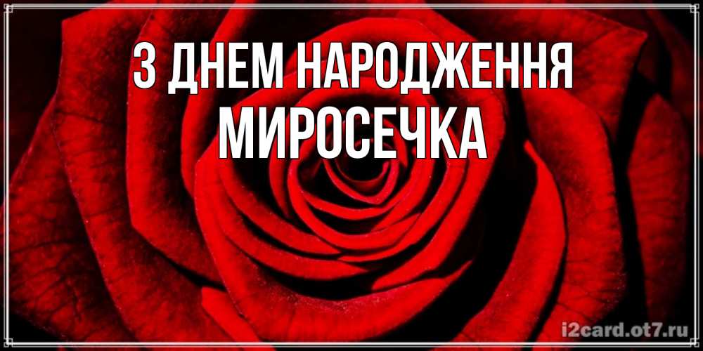 Открытка на каждый день з підписом, Миросечка З Днем народження алая роза Прикольна листівка з побажанням онлайн скачати безкоштовно 