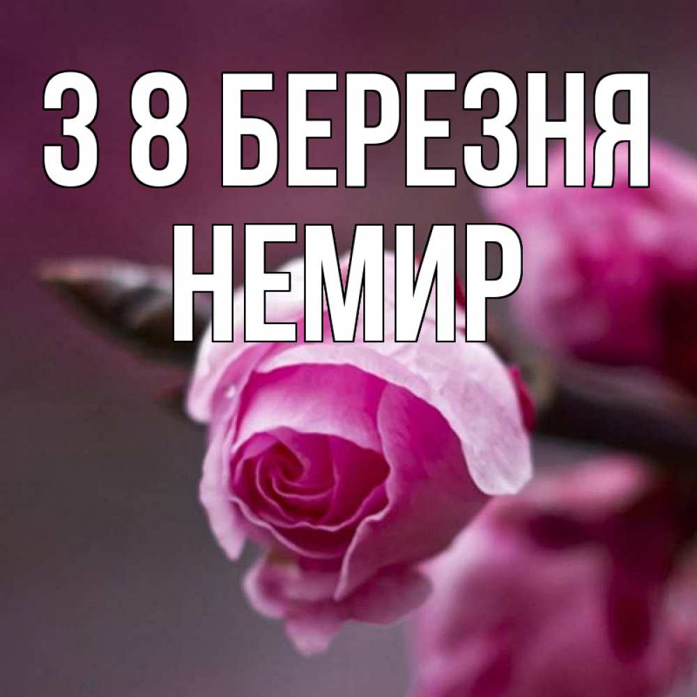 Открытка на каждый день з підписом, Немир З 8 БЕРЕЗНЯ весна Прикольна листівка з побажанням онлайн скачати безкоштовно 