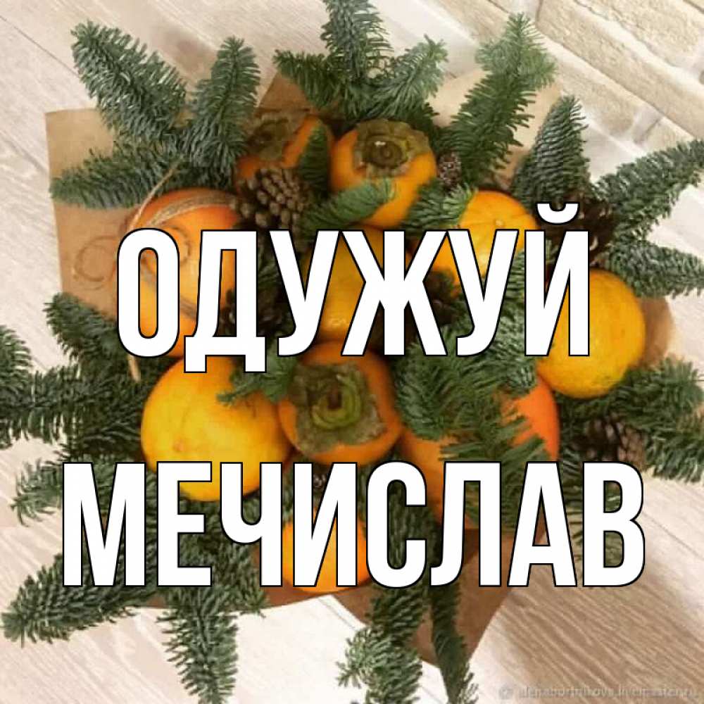 Открытка на каждый день з підписом, Мечислав Одужуй апельсины и хурьма Прикольна листівка з побажанням онлайн скачати безкоштовно 
