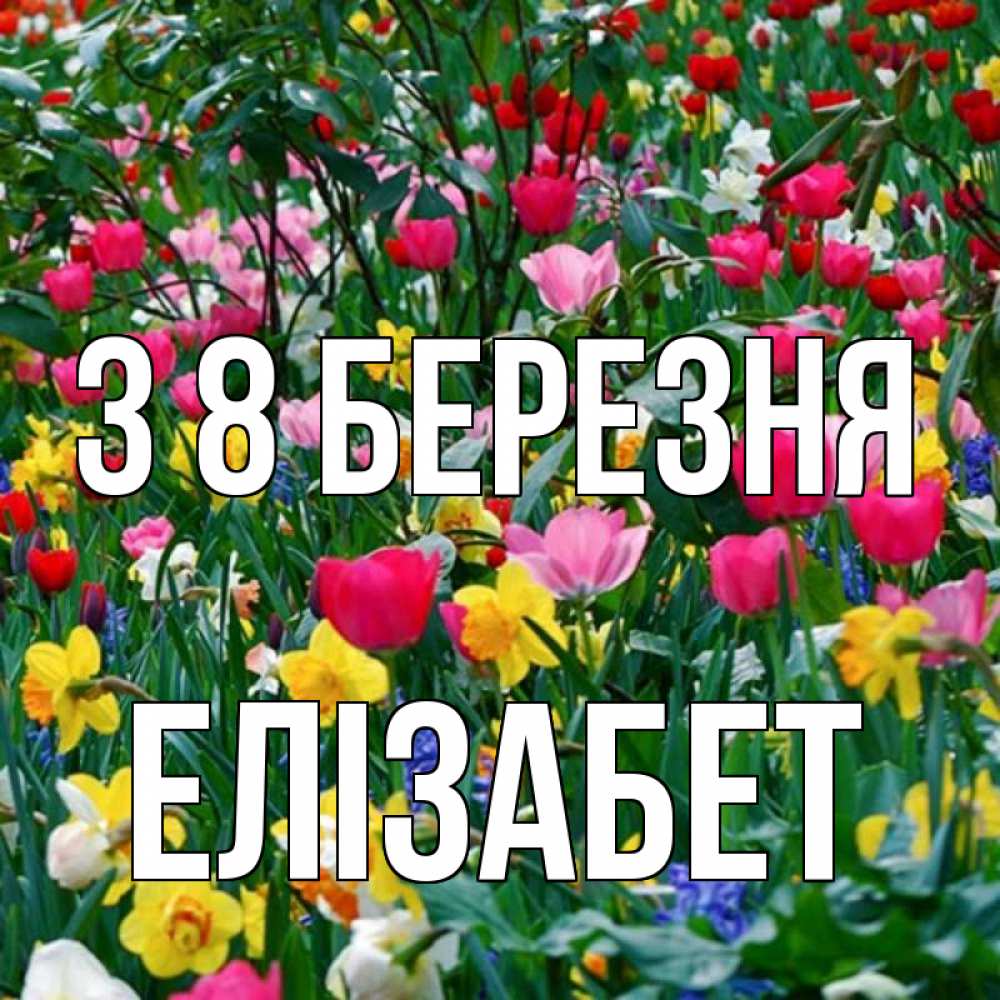 Открытка на каждый день з підписом, Елізабет З 8 БЕРЕЗНЯ с международным женским днем поздравления для женщины Прикольна листівка з побажанням онлайн скачати безкоштовно 