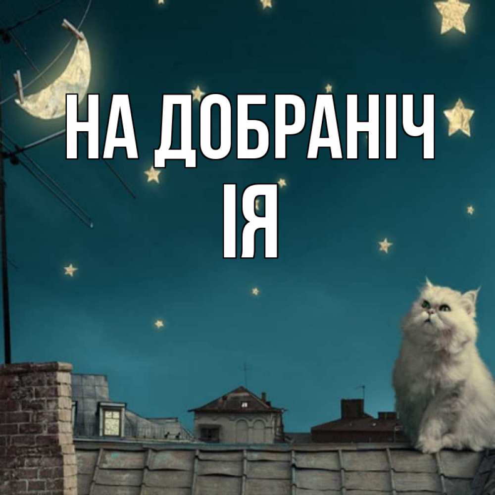 Открытка на каждый день з підписом, Ія На добраніч белый кот сидит на крыше Прикольна листівка з побажанням онлайн скачати безкоштовно 