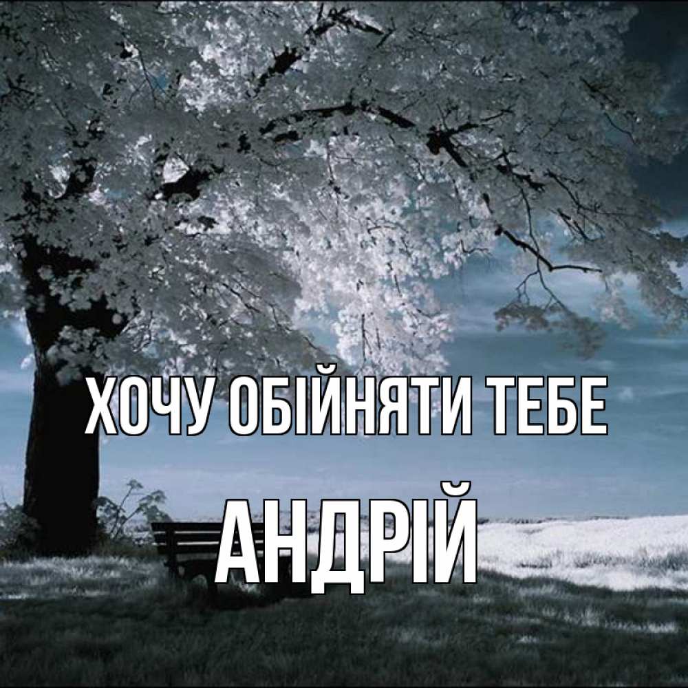 Открытка на каждый день з підписом, Андрій Хочу обійняти тебе дерево Прикольна листівка з побажанням онлайн скачати безкоштовно 