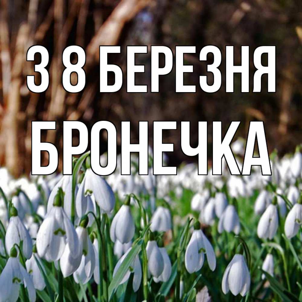 Открытка на каждый день з підписом, Бронечка З 8 БЕРЕЗНЯ с подснежниками 1 Прикольна листівка з побажанням онлайн скачати безкоштовно 