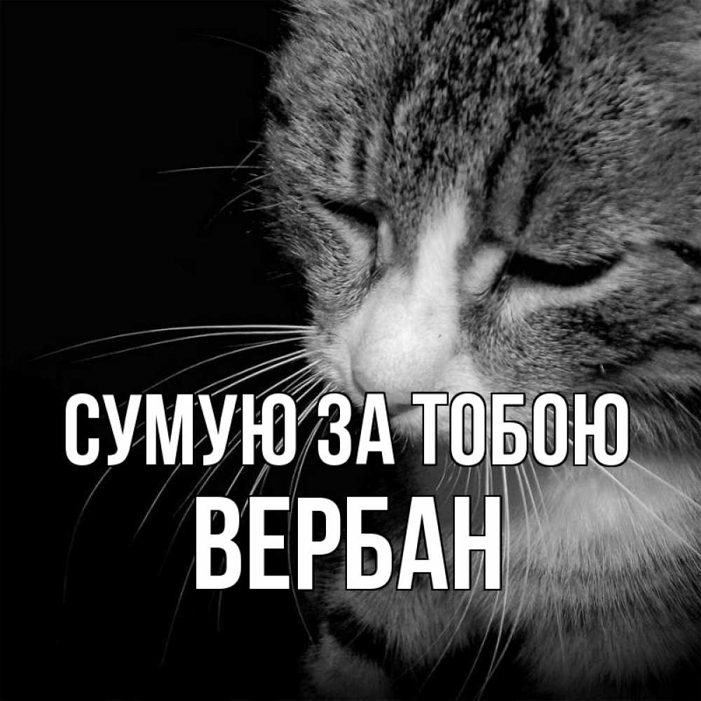 Открытка на каждый день з підписом, Вербан Сумую за тобою мне скучно Прикольна листівка з побажанням онлайн скачати безкоштовно 