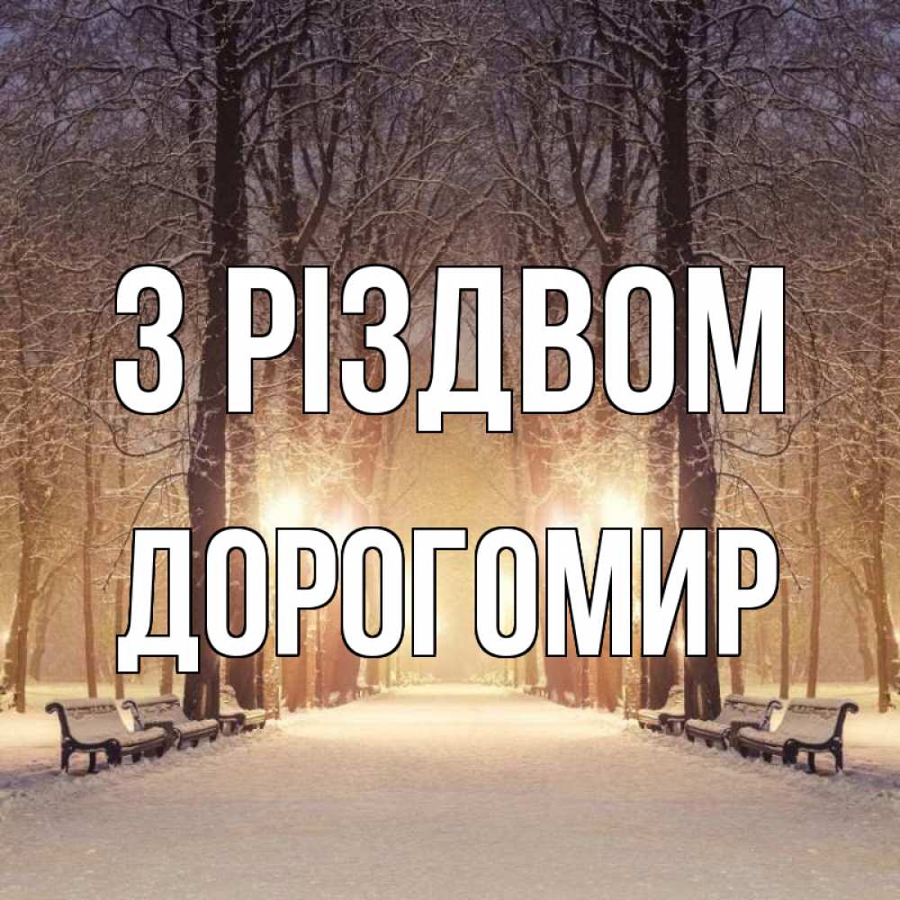 Открытка на каждый день з підписом, Дорогомир З Різдвом зима, парк, фонарь, лес Прикольна листівка з побажанням онлайн скачати безкоштовно 