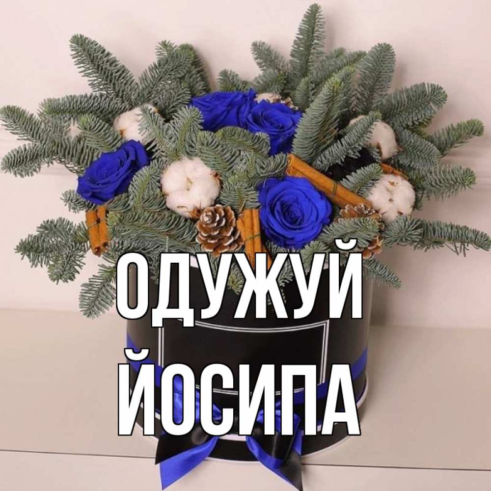 Открытка на каждый день з підписом, Йосипа Одужуй короче кто то загрузил эти шишки Прикольна листівка з побажанням онлайн скачати безкоштовно 