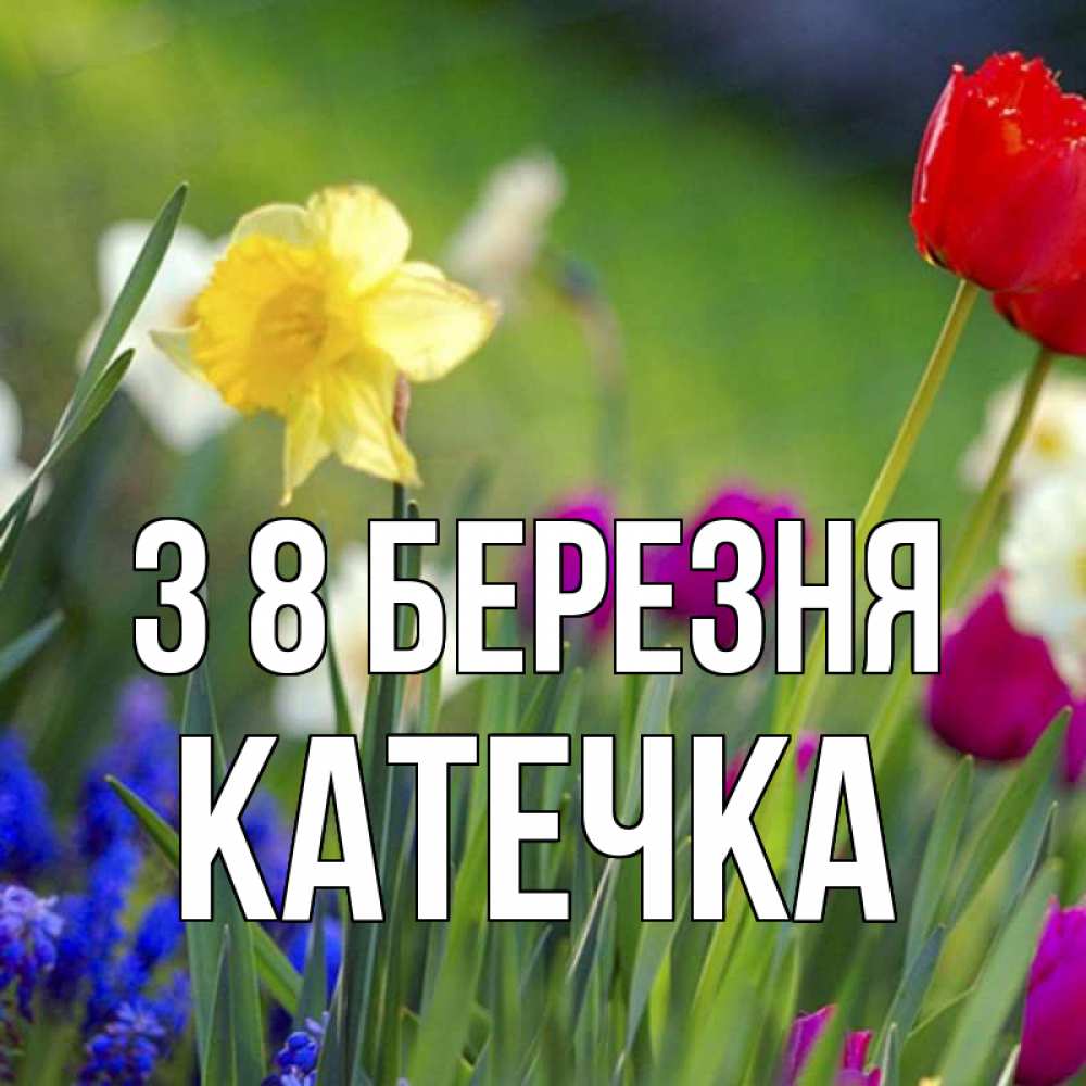 Открытка на каждый день з підписом, Катечка З 8 БЕРЕЗНЯ международный женский день 3 Прикольна листівка з побажанням онлайн скачати безкоштовно 