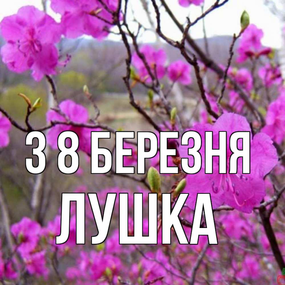 Открытка на каждый день з підписом, Лушка З 8 БЕРЕЗНЯ международный женский день Прикольна листівка з побажанням онлайн скачати безкоштовно 