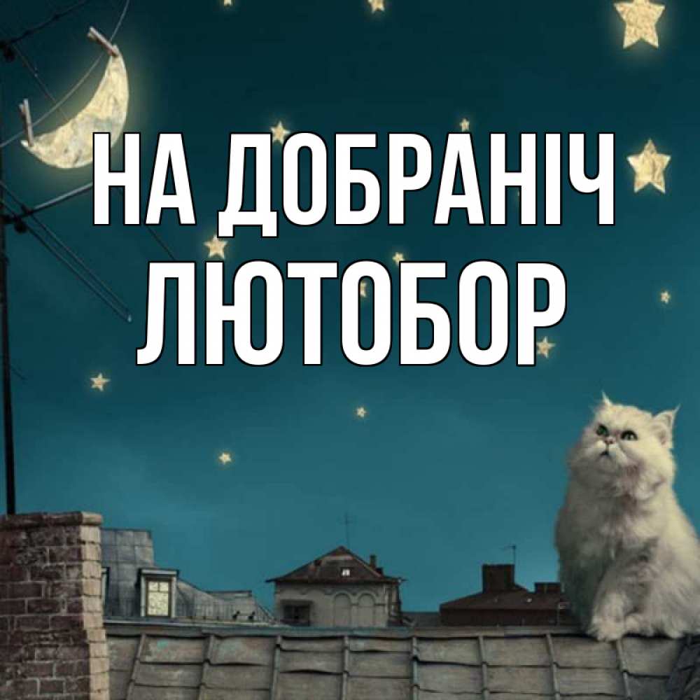 Открытка на каждый день з підписом, Лютобор На добраніч белый кот сидит на крыше Прикольна листівка з побажанням онлайн скачати безкоштовно 