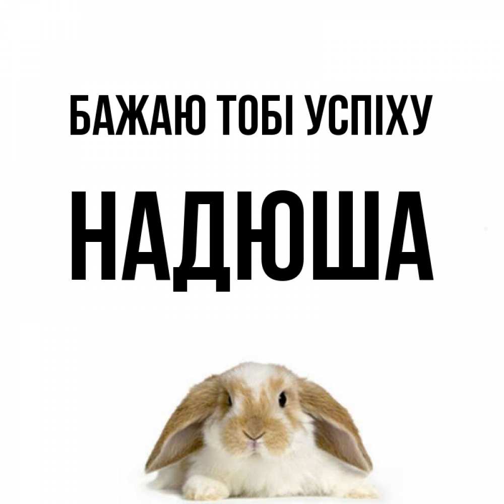 Открытка на каждый день з підписом, Надюша Бажаю тобі успіху открытки с произвольным текстом который можно вставить в открытку и создать ее самостоятельно бесплатно онлайн Прикольна листівка з побажанням онлайн скачати безкоштовно 