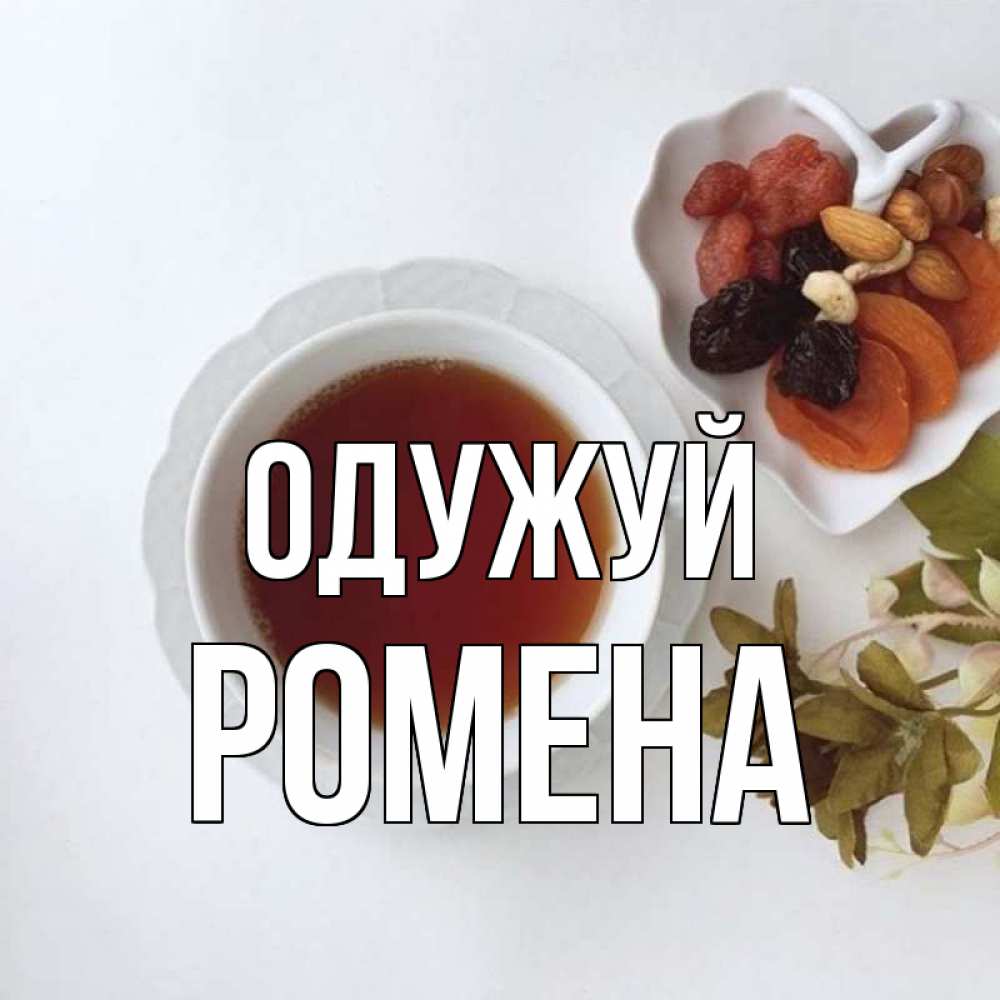 Открытка на каждый день з підписом, Ромена Одужуй неизвестные растения Прикольна листівка з побажанням онлайн скачати безкоштовно 