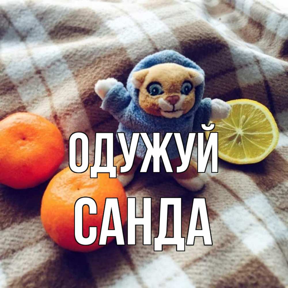 Открытка на каждый день з підписом, Санда Одужуй вот тебе апельсинка и лимон Прикольна листівка з побажанням онлайн скачати безкоштовно 
