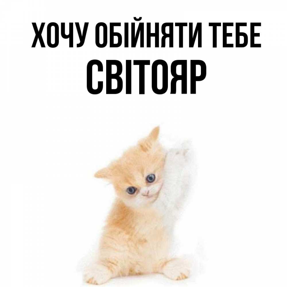 Открытка на каждый день з підписом, Світояр Хочу обійняти тебе я хочу очень скорее обнимаешек Прикольна листівка з побажанням онлайн скачати безкоштовно 