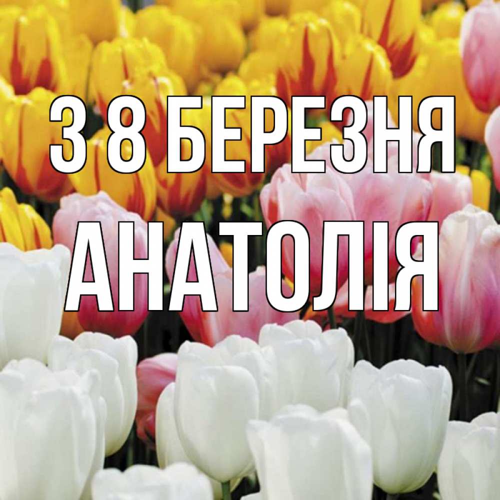 Открытка на каждый день з підписом, Анатолія З 8 БЕРЕЗНЯ разноцветные цветы Прикольна листівка з побажанням онлайн скачати безкоштовно 