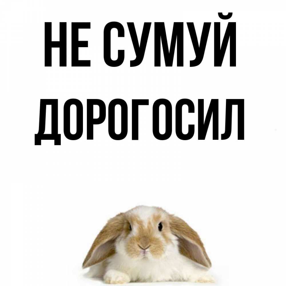 Открытка на каждый день з підписом, Дорогосил Не сумуй коричнево белый заяц с большими ушками Прикольна листівка з побажанням онлайн скачати безкоштовно 