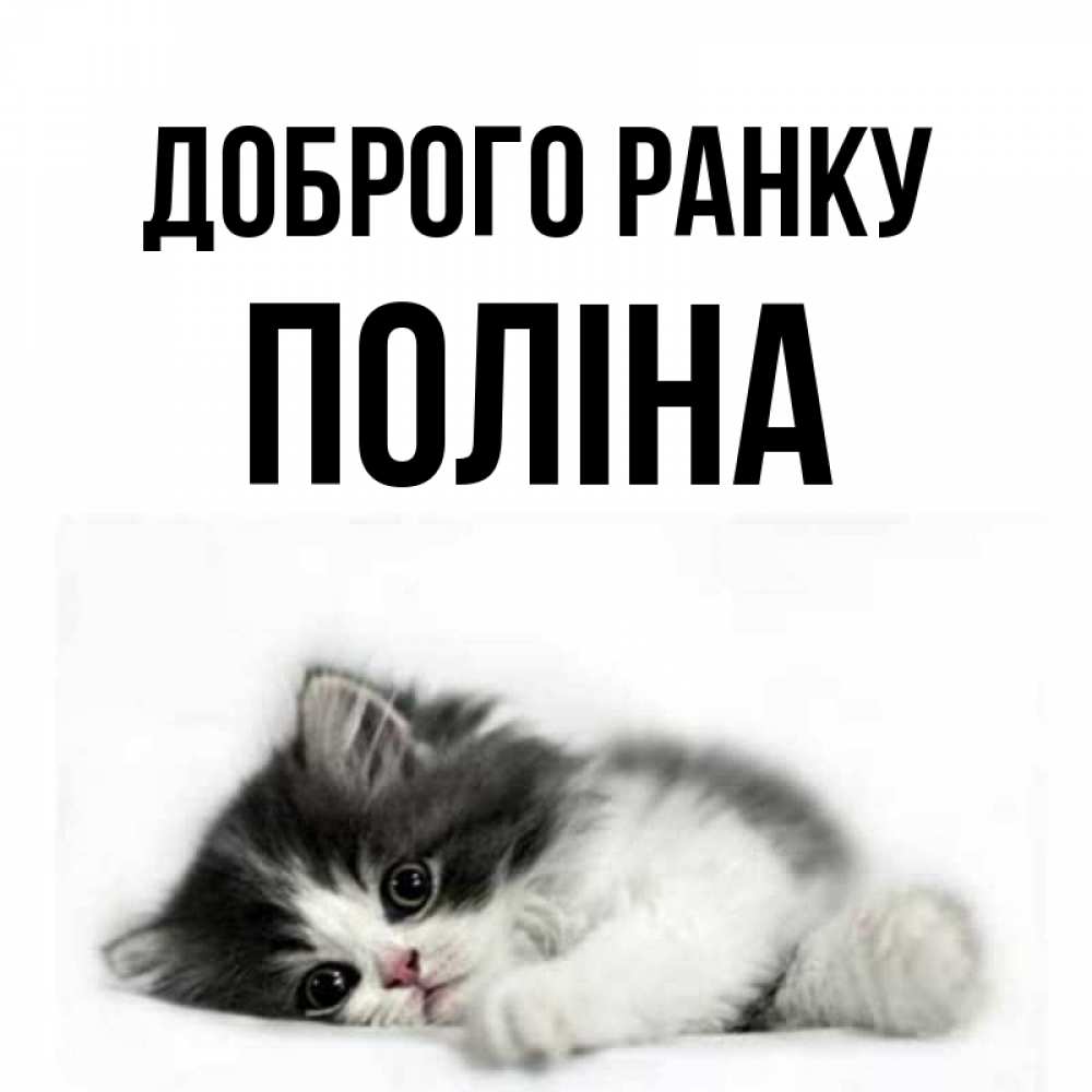 Открытка на каждый день з підписом, Поліна Доброго ранку кот лапки Прикольна листівка з побажанням онлайн скачати безкоштовно 