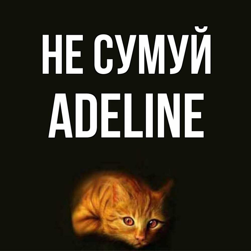 Открытка на каждый день з підписом, Adeline Не сумуй лежащий кот в темноте Прикольна листівка з побажанням онлайн скачати безкоштовно 