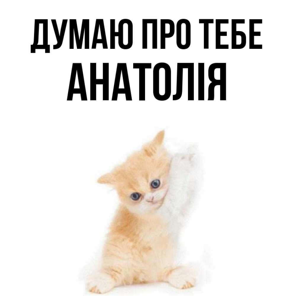 Открытка на каждый день з підписом, Анатолія Думаю про тебе зверушки и милота Прикольна листівка з побажанням онлайн скачати безкоштовно 
