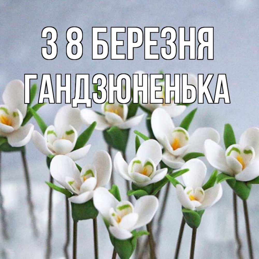 Открытка на каждый день з підписом, Гандзюненька З 8 БЕРЕЗНЯ весенние цветы Прикольна листівка з побажанням онлайн скачати безкоштовно 