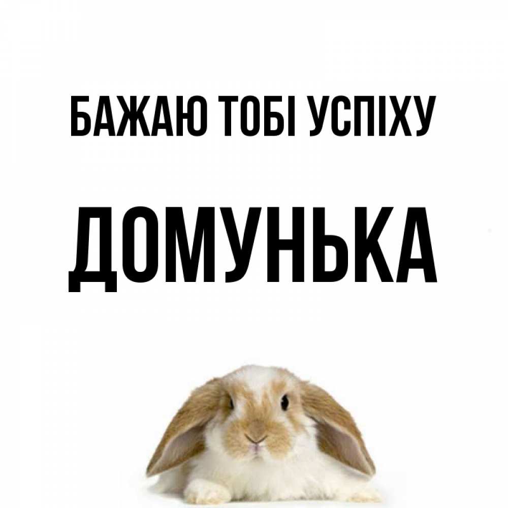 Открытка на каждый день з підписом, Домунька Бажаю тобі успіху открытки с произвольным текстом который можно вставить в открытку и создать ее самостоятельно бесплатно онлайн Прикольна листівка з побажанням онлайн скачати безкоштовно 