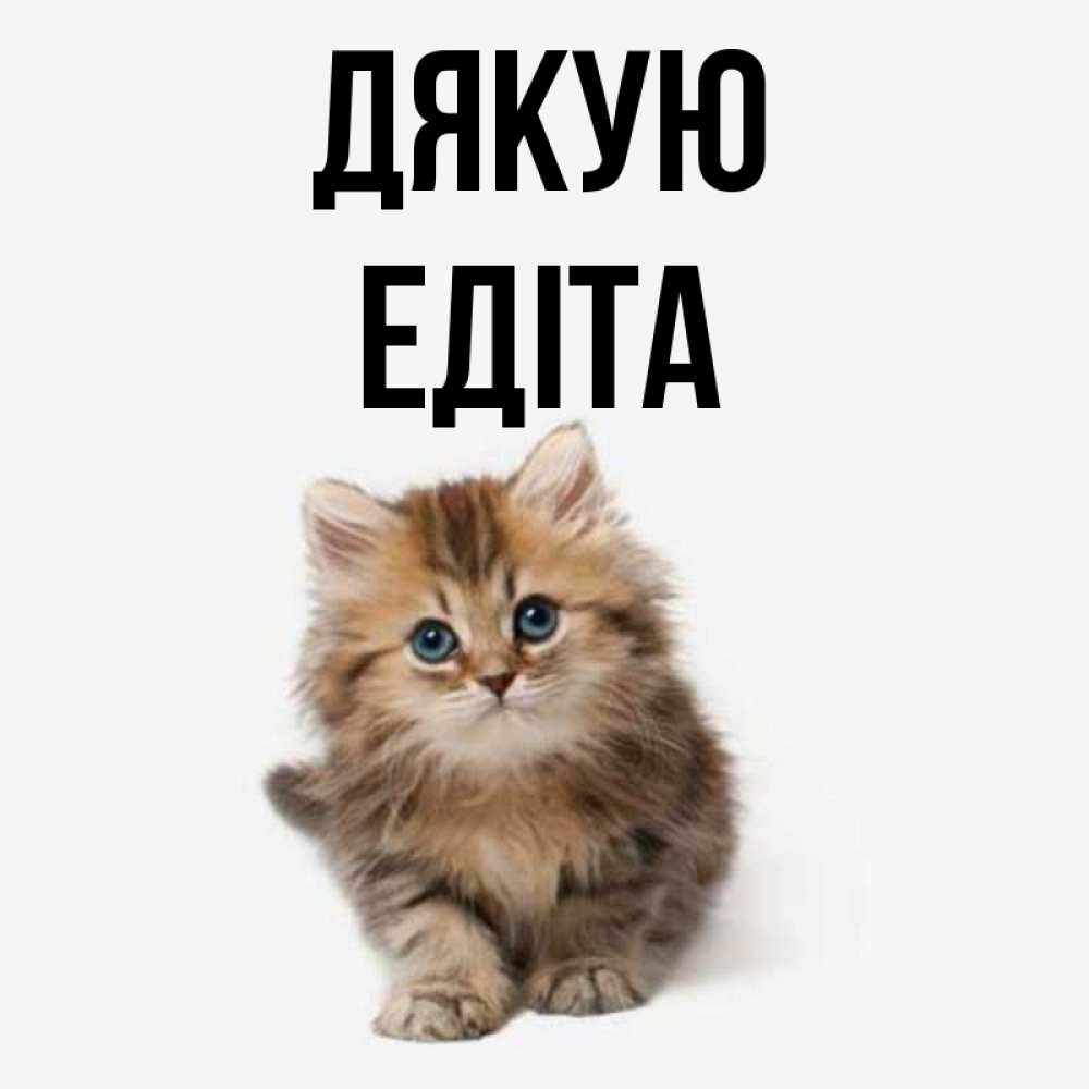 Открытка на каждый день з підписом, Едіта Дякую пушистый котик Прикольна листівка з побажанням онлайн скачати безкоштовно 