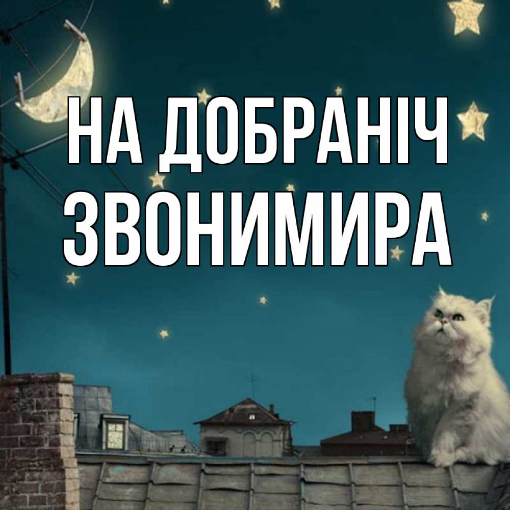 Открытка на каждый день з підписом, Звонимира На добраніч белый кот сидит на крыше Прикольна листівка з побажанням онлайн скачати безкоштовно 