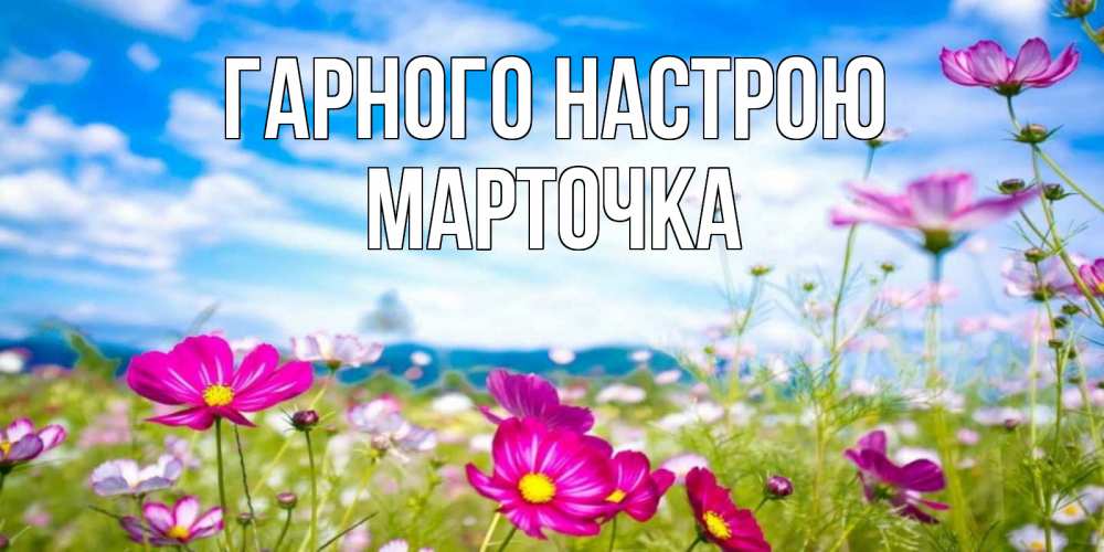 Открытка на каждый день з підписом, Марточка Гарного настрою поле цветов Прикольна листівка з побажанням онлайн скачати безкоштовно 