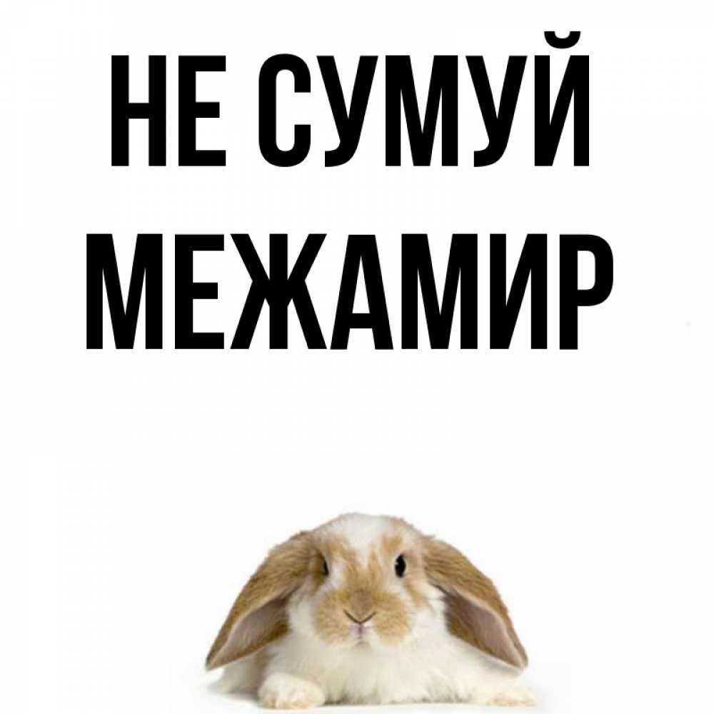 Открытка на каждый день з підписом, Межамир Не сумуй коричнево белый заяц с большими ушками Прикольна листівка з побажанням онлайн скачати безкоштовно 