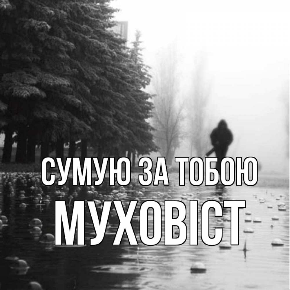 Открытка на каждый день з підписом, Муховіст Сумую за тобою приходи Прикольна листівка з побажанням онлайн скачати безкоштовно 