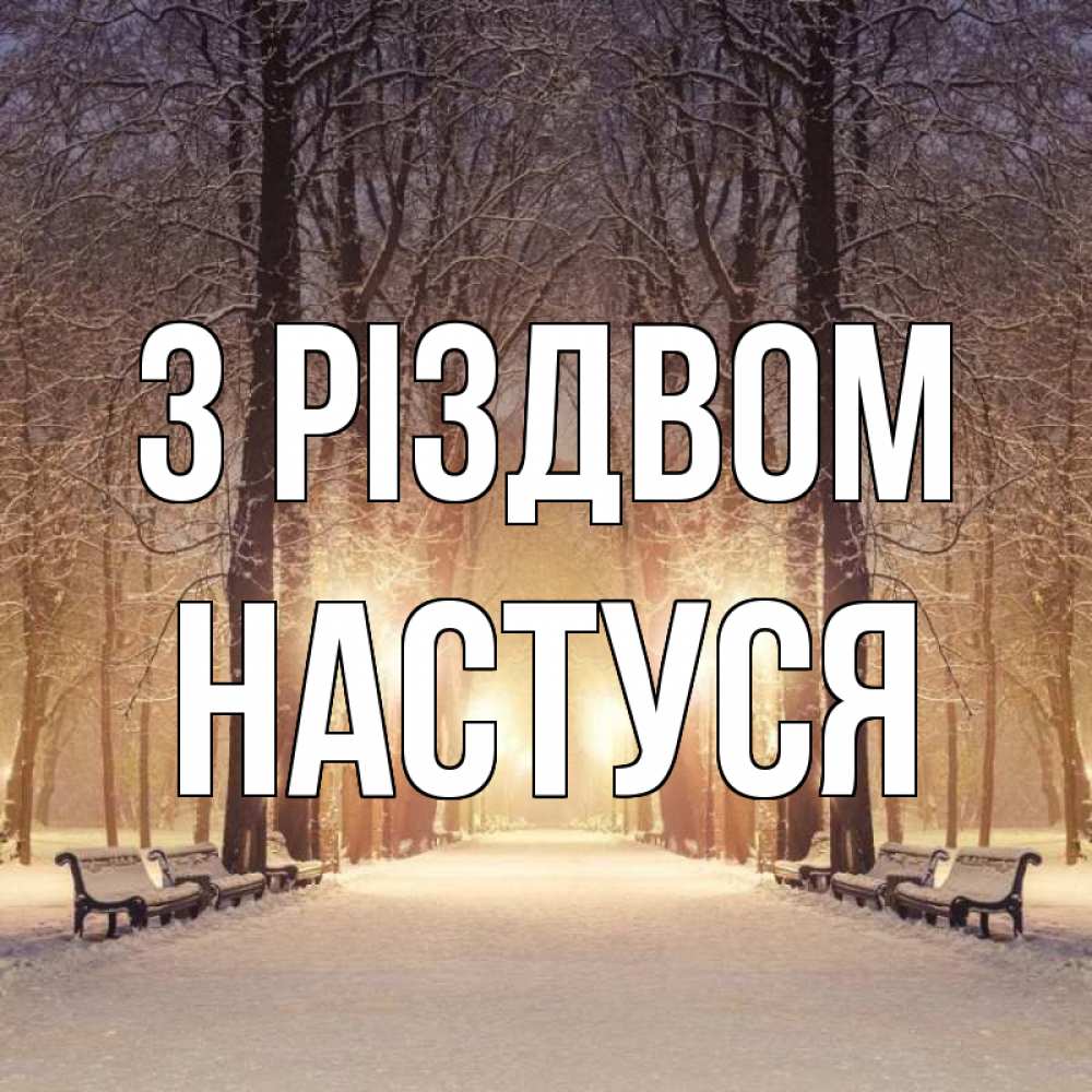 Открытка на каждый день з підписом, Настуся З Різдвом зима, парк, фонарь, лес Прикольна листівка з побажанням онлайн скачати безкоштовно 