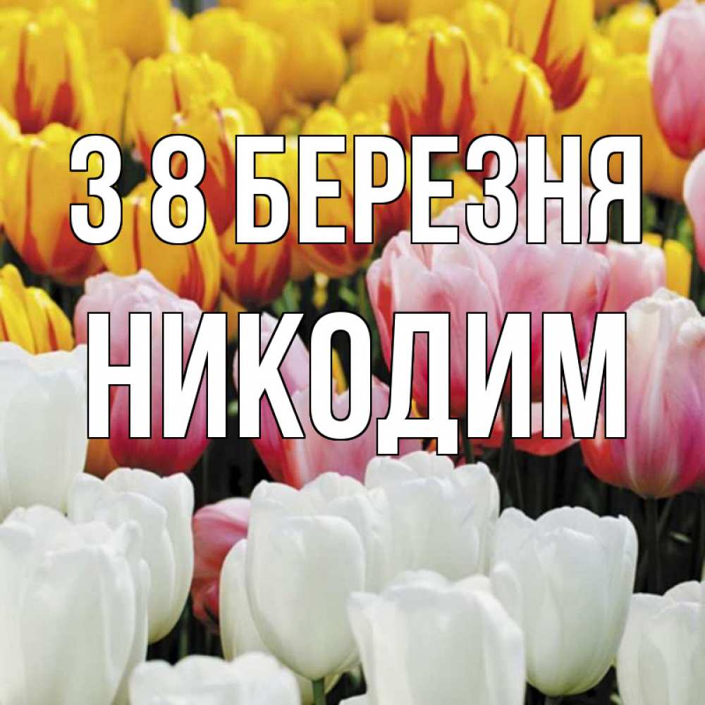 Открытка на каждый день з підписом, Никодим З 8 БЕРЕЗНЯ разноцветные цветы Прикольна листівка з побажанням онлайн скачати безкоштовно 