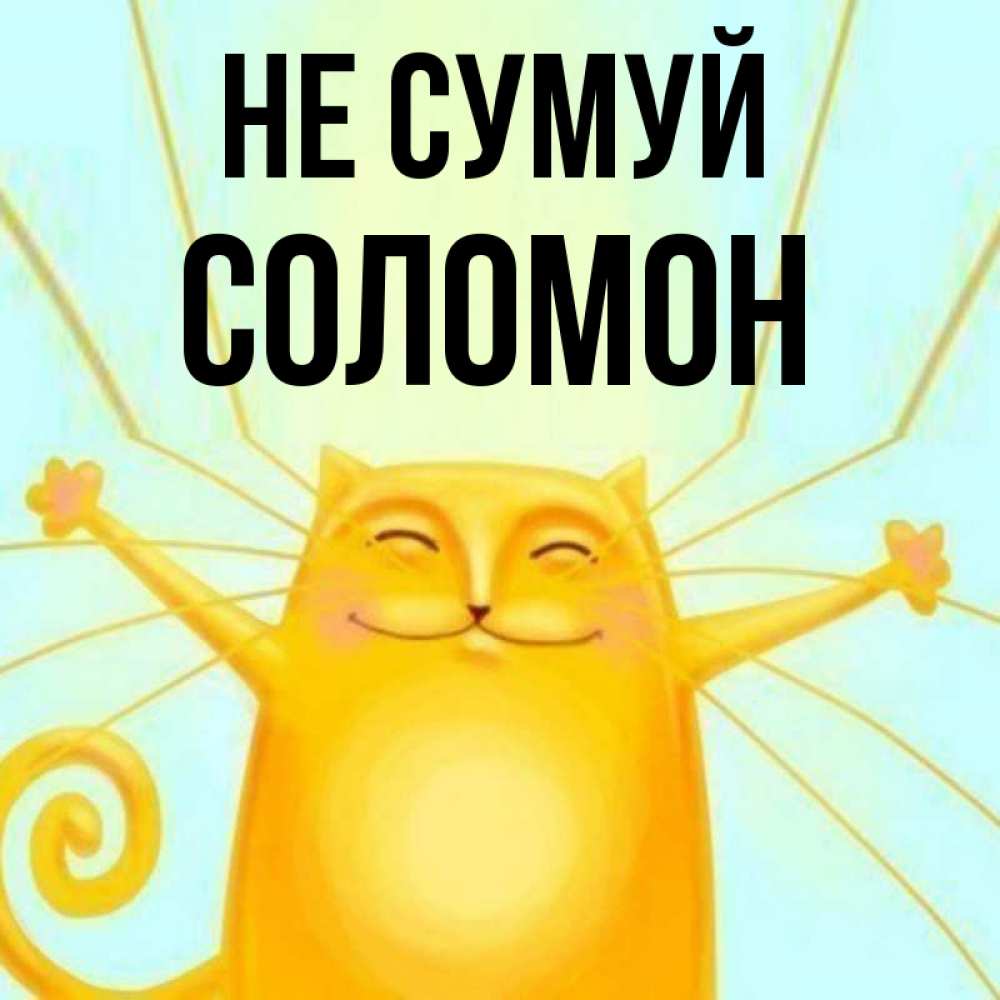 Открытка на каждый день з підписом, Соломон Не сумуй обнимашки усатые Прикольна листівка з побажанням онлайн скачати безкоштовно 