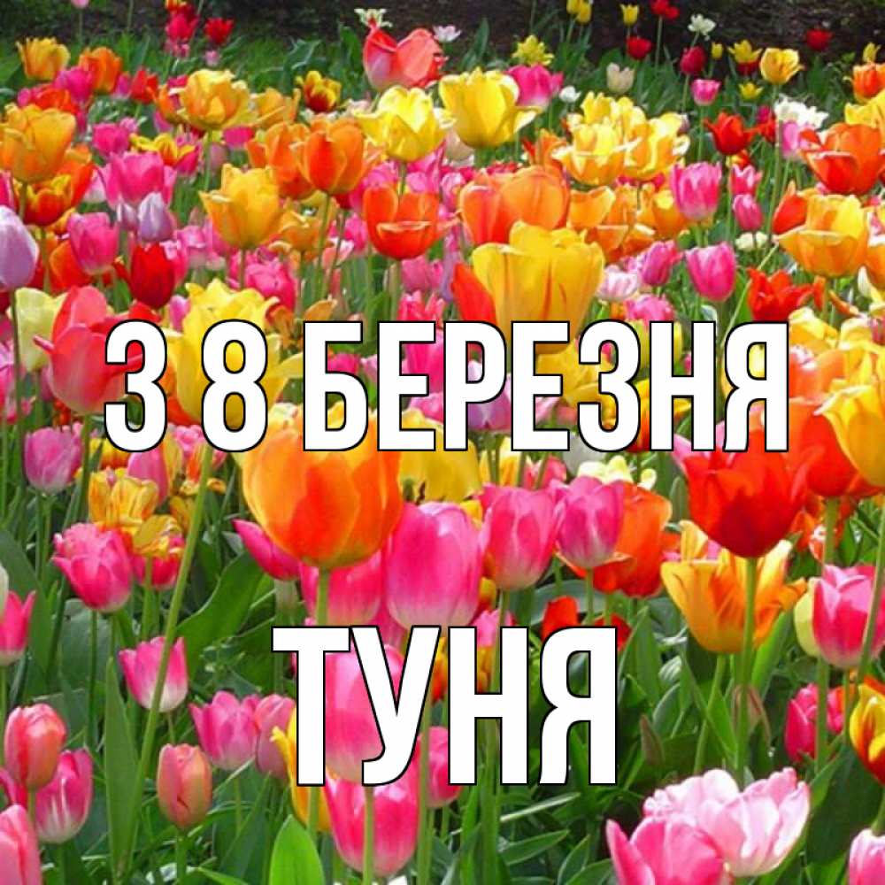 Открытка на каждый день з підписом, Туня З 8 БЕРЕЗНЯ на международный женский день Прикольна листівка з побажанням онлайн скачати безкоштовно 