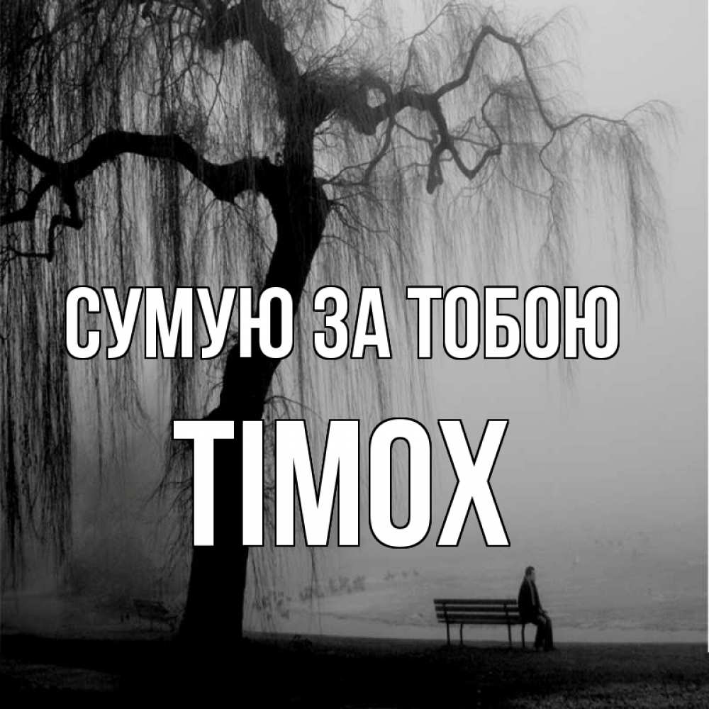Открытка на каждый день з підписом, Тімох Сумую за тобою лавочка под деревом я жду тебя Прикольна листівка з побажанням онлайн скачати безкоштовно 