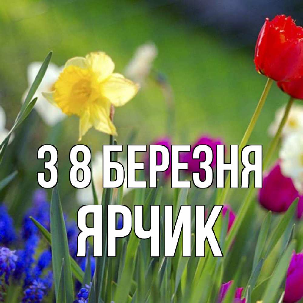 Открытка на каждый день з підписом, Ярчик З 8 БЕРЕЗНЯ международный женский день 3 Прикольна листівка з побажанням онлайн скачати безкоштовно 