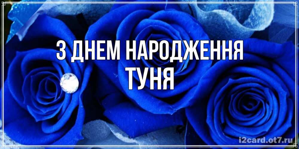 Открытка на каждый день з підписом, Туня З Днем народження синие розы в росе Прикольна листівка з побажанням онлайн скачати безкоштовно 