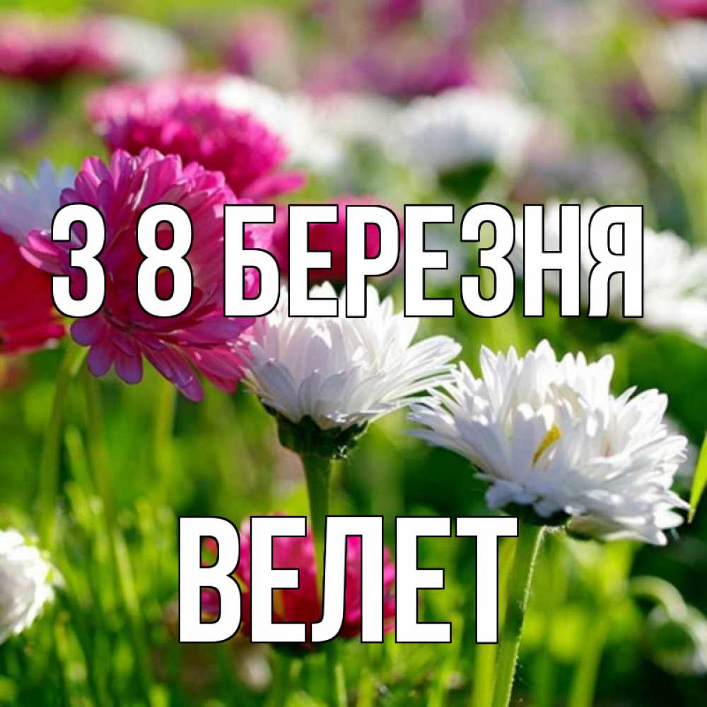 Открытка на каждый день з підписом, Велет З 8 БЕРЕЗНЯ международный женский день 1 Прикольна листівка з побажанням онлайн скачати безкоштовно 