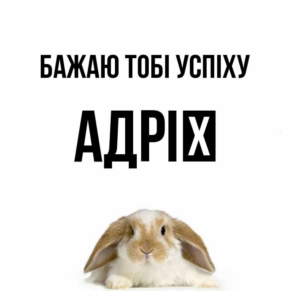 Открытка на каждый день з підписом, Адрії Бажаю тобі успіху открытки с произвольным текстом который можно вставить в открытку и создать ее самостоятельно бесплатно онлайн Прикольна листівка з побажанням онлайн скачати безкоштовно 